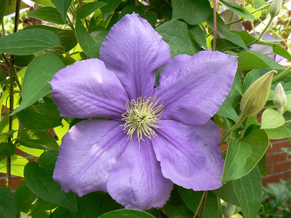 P1020248
