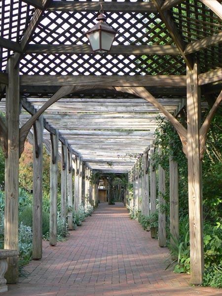 P1020257
