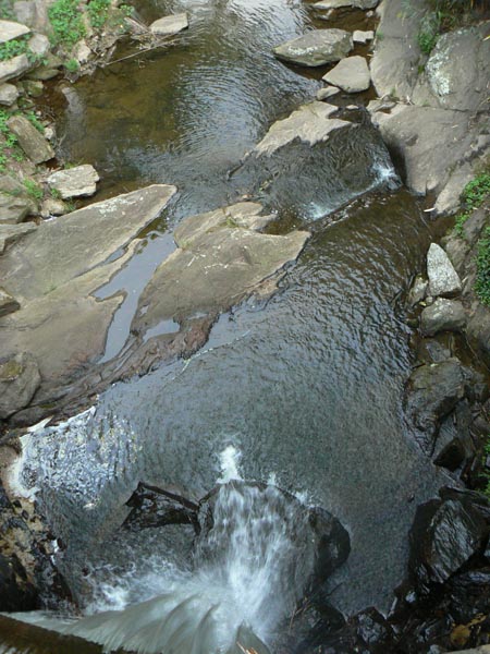 P1020306